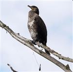 Neem uw verantwoordelijkheid en laat uw spullen niet slingeren...